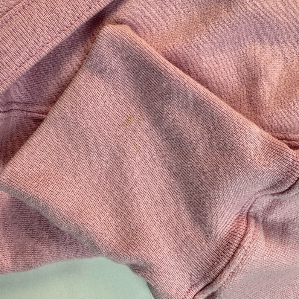 Champion Soft Pink Athletic kangaroo pocket hoodie size medium - Picture 4 of 6